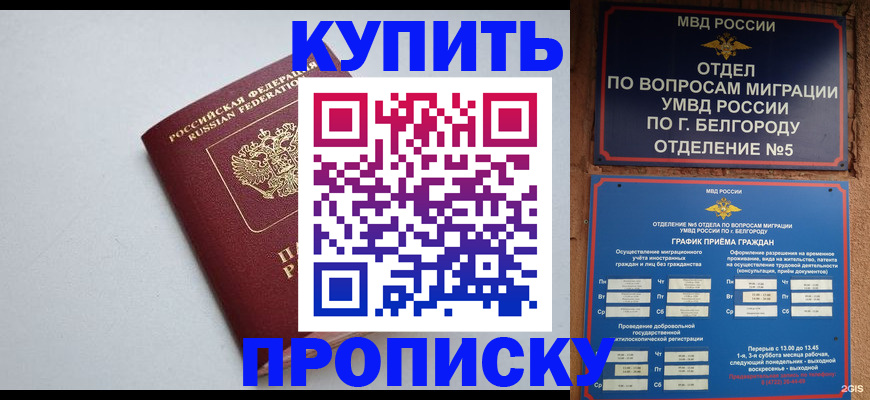 прописка регистрация в Тереке